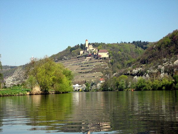 Blick über den Neckar auf eine Burg über bewaldeten Hängen im Neckartal